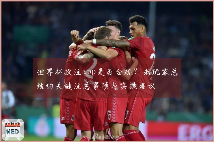 世界杯投注app是否合规?老玩家总结的关键注意事项与实操建议