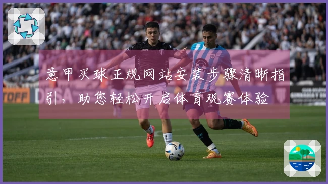 意甲买球正规网站安装步骤清晰指引，助您轻松开启体育观赛体验