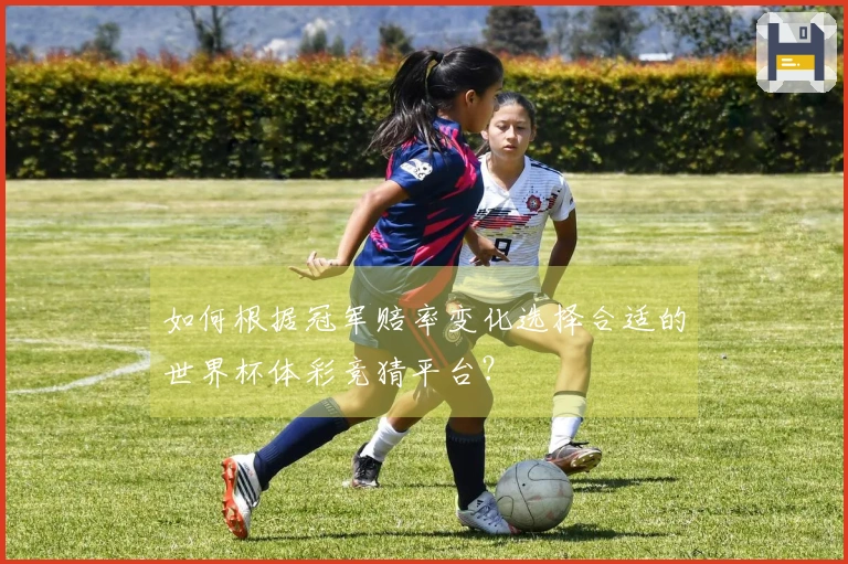 如何根据冠军赔率变化选择合适的世界杯体彩竞猜平台？