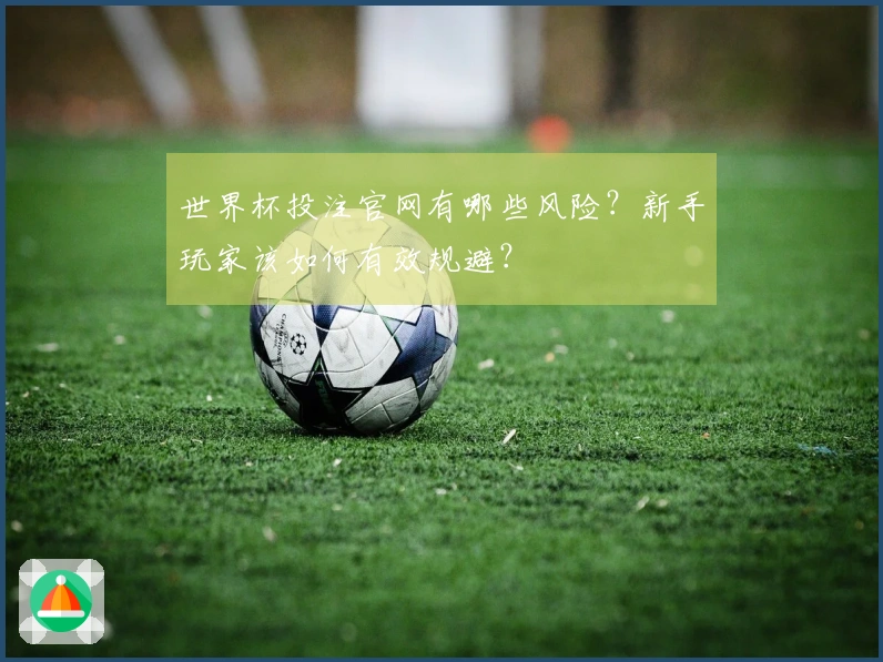 世界杯投注官网有哪些风险？新手玩家该如何有效规避？