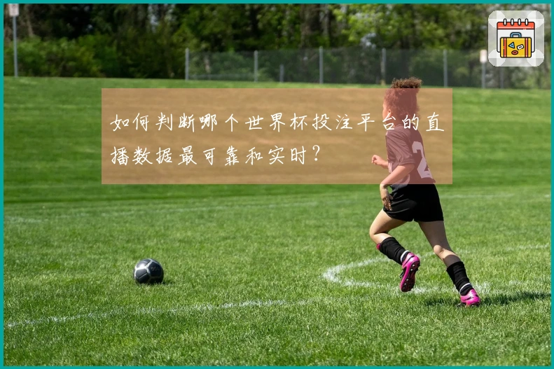 如何判断哪个世界杯投注平台的直播数据最可靠和实时？