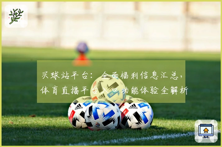买球站平台：全面福利信息汇总，体育直播平台入口功能体验全解析