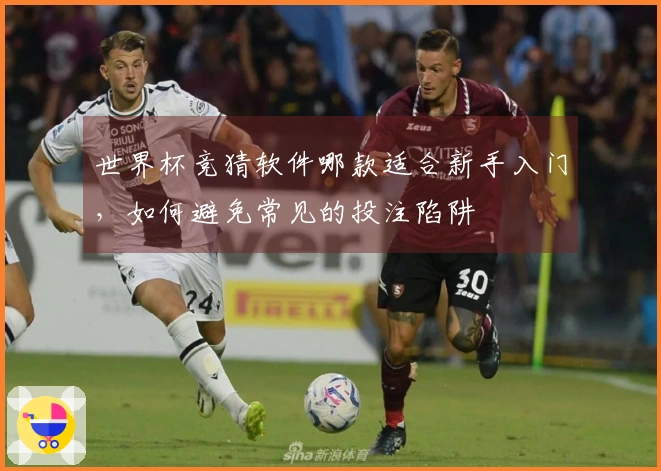 世界杯竞猜软件哪款适合新手入门,如何避免常见的投注陷阱