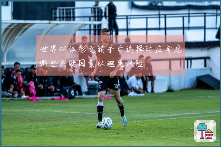 世界杯体彩竞猜平台选择时应考虑哪些关键因素以避免风险