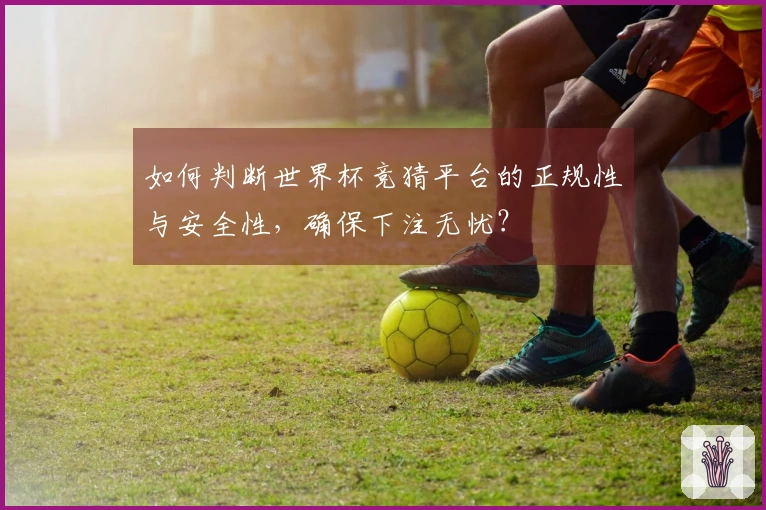 如何判断世界杯竞猜平台的正规性与安全性，确保下注无忧？