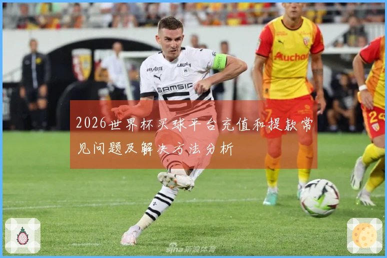 2026世界杯买球平台充值和提款常见问题及解决方法分析